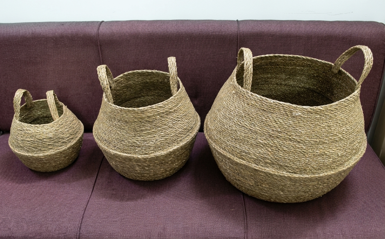 Coir Product